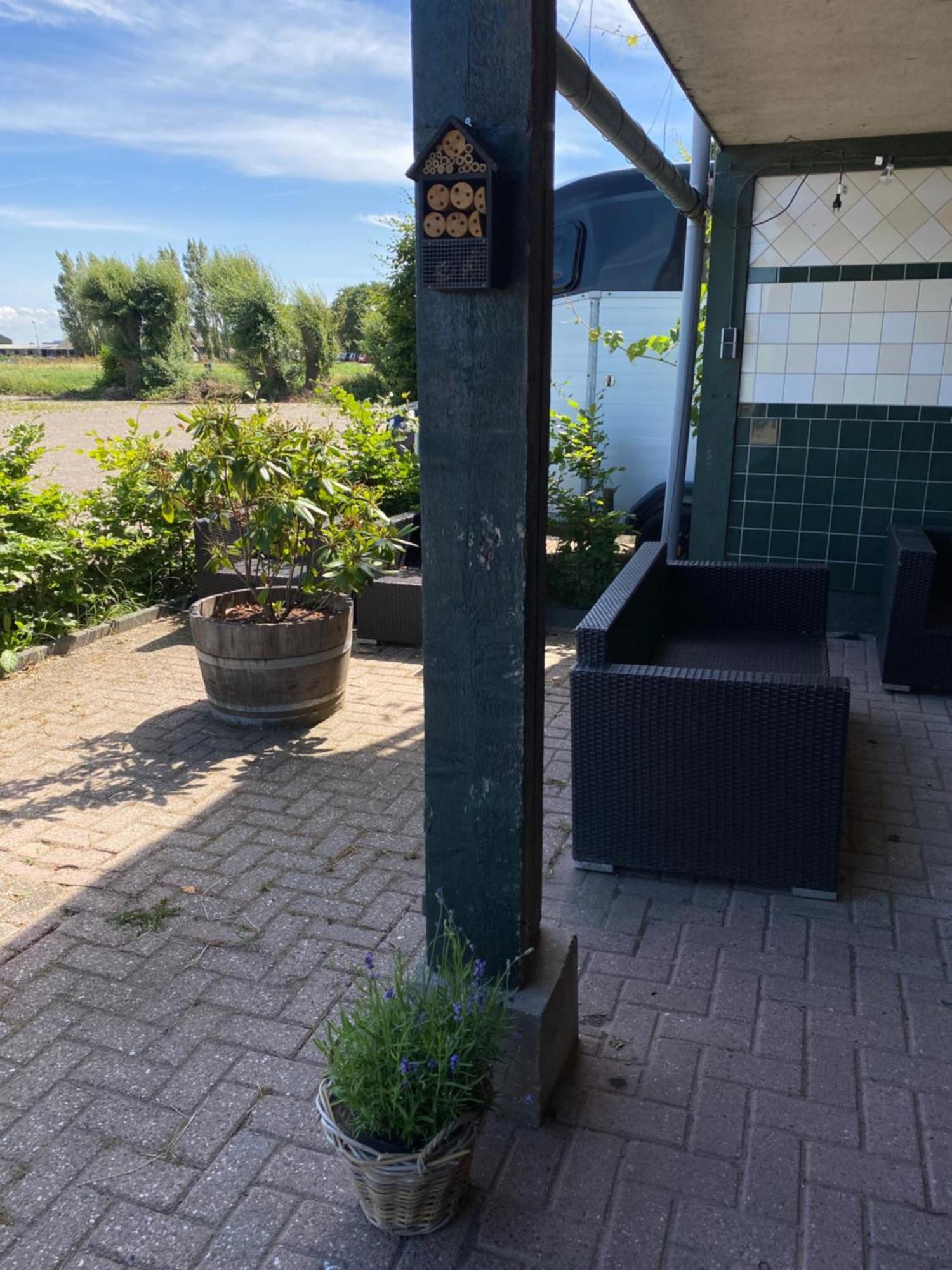 Polderzicht Panzió Castricum Kültér fotó